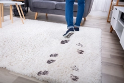 Tips voor het reinigen van verschillende soorten tapijtreinigers